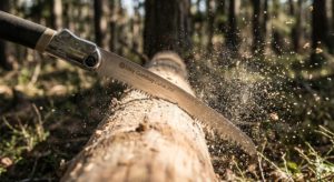 引いて切れ。Silky「ゴムボーイ」が奏でる、森での最も美しい音