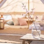 テントの中に『春』を飾る。KINTOのガラスフラワーベースで作る極上空間