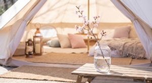 テントの中に『春』を飾る。KINTOのガラスフラワーベースで作る極上空間